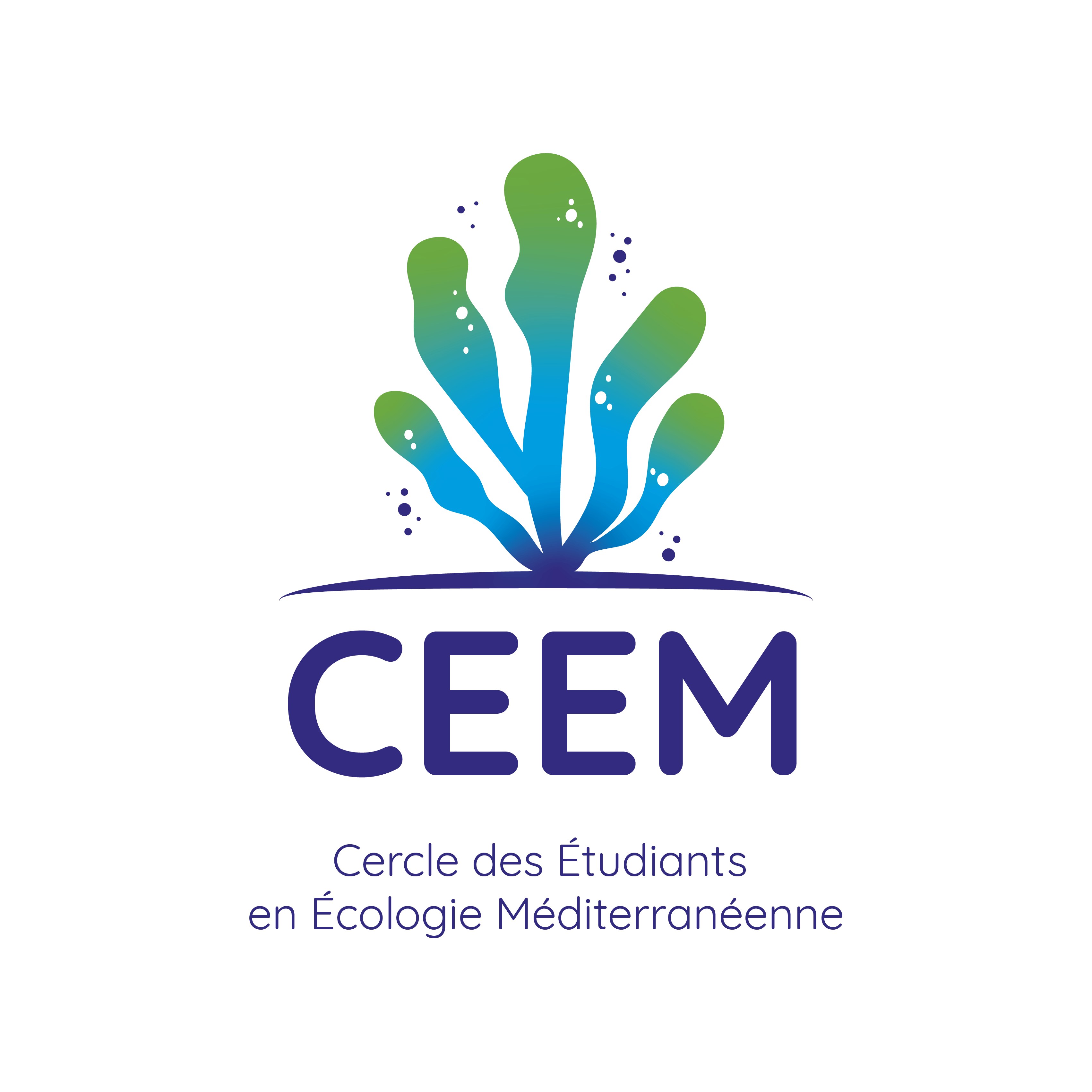 Logo CEEM